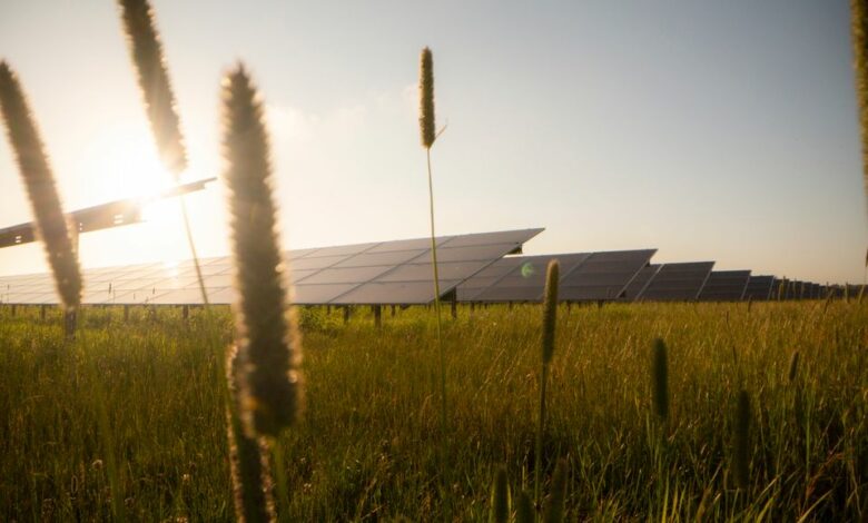 Coloplast indgår elkøbsaftale med Better Energy, som vil betyde opførelsen af en ny solcellepark på mere end 50 hektar.
