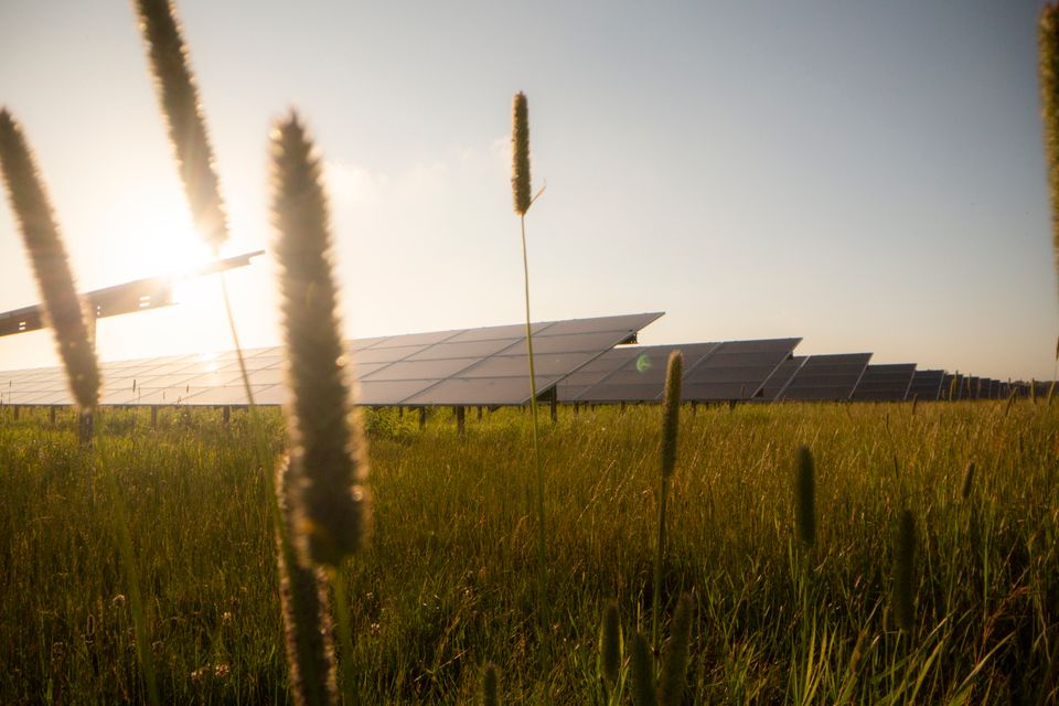 Coloplast indgår elkøbsaftale med Better Energy, som vil betyde opførelsen af en ny solcellepark på mere end 50 hektar.