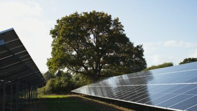 Industriens Pension og energiselskabet Better Energy er klar med endnu en stor fælles milliardinvestering i forventet 15 store solcelleparker
