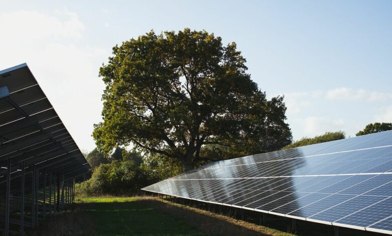Solceller på marker og hustage producerede over 406 GWh strøm i april. Det er 55 procent mere end i april sidste år og nok til at dække 100.000 husstandes årlige elforbrug