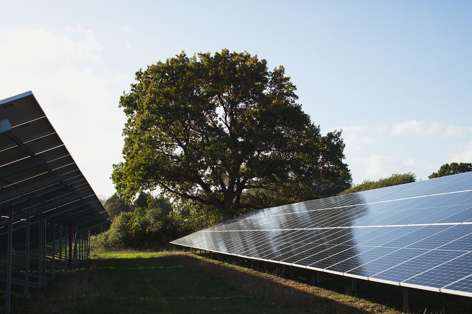 Solceller på marker og hustage producerede over 406 GWh strøm i april. Det er 55 procent mere end i april sidste år og nok til at dække 100.000 husstandes årlige elforbrug