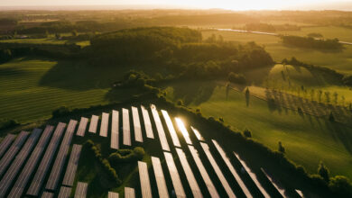 De seneste tre år har Better Energy stået for godt halvdelen af al solkraft, der blev opstillet på dansk jord.